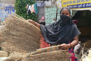 cooler grass shopkeepers are upset due to lockdown