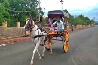 ಕೊರೊನಾ ಲಾಕ್​ಡೌನ್​ನಿಂದ ಬೀದಿಗೆ ಬಂದ ಟಾಂಗಾವಾಲಾಗಳ ಬದುಕು