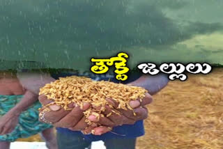 taukte cyclone, taukte cyclone effect, taukte cyclone effect in ap