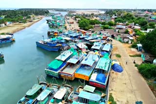 Cuddalore port fish import site