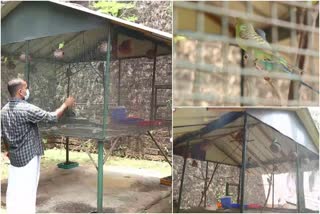 പക്ഷി പരിപാലനം  തലശ്ശേരി ജനറൽ ആശുപത്രി  Bird keeping to reduce stress among covids  Thalassery General Hospital  ലവ് ബേഡ്‌സ്‌