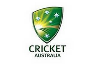 cricket australia, interim ceo