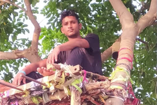 B Tech student converts tree into an isolation room