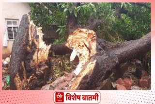 Cyclone Tauktae damage house Ratnagiri