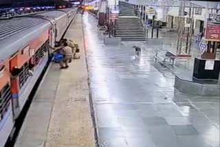 RPF personnel save woman from falling under moving train