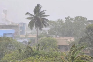 heavy rains in east godavari district
