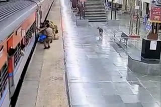 RPF personnel save woman from falling under moving train  vigilant RPF personnel  Ashram Express  RPF personnel save woman  moving train  ട്രെയിനിൽ നിന്ന്‌ വീണ യുവതി  രക്ഷപ്പെടുത്തി ആർപിഎഫ്‌ ഉദ്യോഗസ്ഥർ  ആർപിഎഫ്‌ ഉദ്യോഗസ്ഥർ