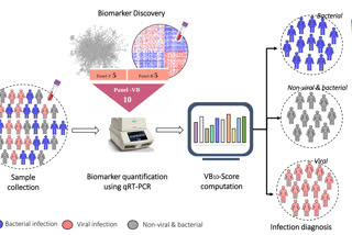 blood-based-biomarker-to-distinguish-between-bacterial-and-viral-infections