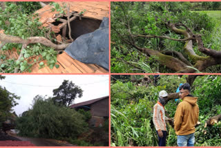 Heavy rains hit Kolhapur district