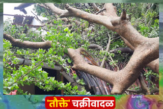 tauktae cyclone news ratnagiri