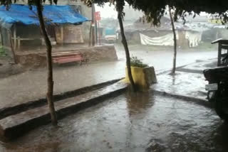 Cyclone Tauktae effect in amravati