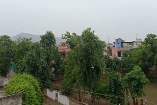 cyclone tauktae in Rajasthan, rain in Alwar
