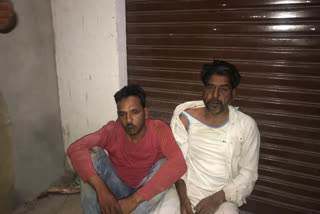 Cow and oxe freed by cow-protection team from smugglers in Yamunanagar