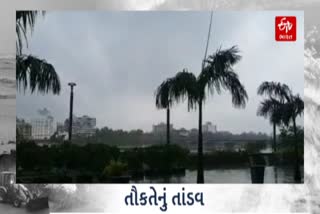 તૌકતે વાવાઝોડાની અસર