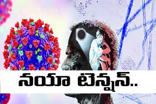 బ్లాక్ ఫంగస్