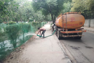 DDA is irrigating the trees planted on the dividers in Delhi.