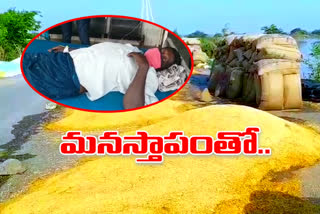 farmer attempted to suicide at nelakondapally