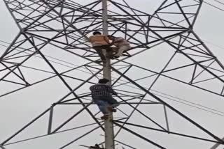 चंबल टावर पर चढ़ा छात्र, Students climbed Chambal tower