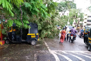 cyclone tauktae