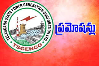 Promotions in the power sector telangana