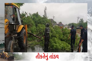 યુદ્ધના ધોરણે કામગીરી કરીને યાતાયાત, દૂરસંચાર અને વીજ સેવાઓ પૂર્વવત કરવામાં આવી