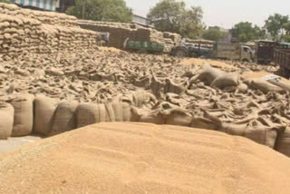 50 lakh quintals of wheat are lying in the open.