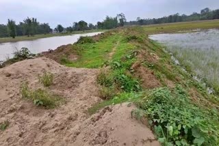 embankment-at-dhemaji