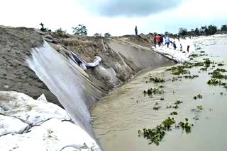 carpet-collapsed-of-river-bank