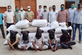 Sirsa police recovered 145kg intoxicants