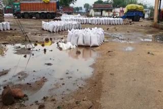 Wheat kept in the open outside wheat procurement centers