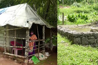 കേറിക്കിടക്കാൻ വീടില്ല  No home  Anandan and family in distress  ദുരിതക്കയത്തിൽ ആനന്ദനും കുടുംബവും  എപിഎൽ കാർഡ്‌  ആനന്ദനും ലക്ഷ്മിയും