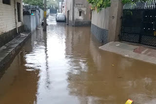 Tauktae cyclone in ajmer, राजस्थान में तौकते तूफान