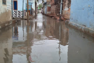 Srimadhopur Water in the lowlands