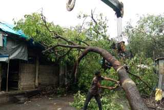 तौक्ते चक्रीवादळ