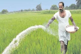 Fertiliser Subsidy For Farmers