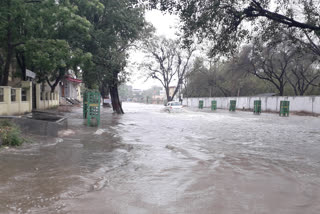 cold winds in Sikar, Barish in Sikar