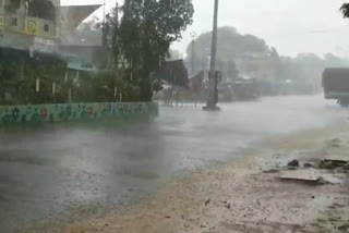 heavy rain in nellore