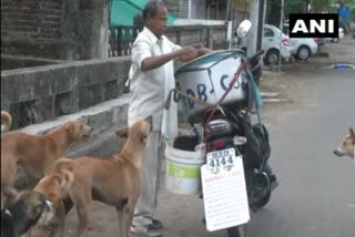 Nagpur man feeding 190 stray dogs with chicken biryani since beginning of pandemic  ദിവസവും 190 തെരുവുനായകൾക്ക് ആഹാരമേകി നാഗ്‌പൂർ സ്വദേശി  മഹാമാരി  feeding stray dogs  pandemic