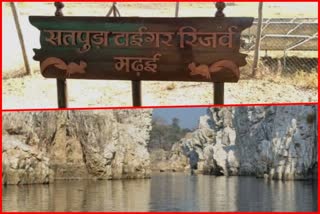 Bhedaghat and Satpura Tiger Reserve included in World Heritage