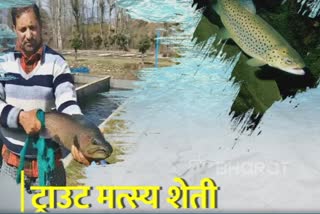 Asia's largest trout fish farm is in Kashmir ETV Bharat 3mp special