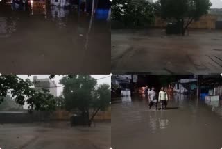 taukate storm in Dhaulpur, तौकते तूफान का असर