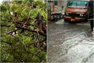 trouble-due-to-waterlogs-and-falling-tree-on-the-road-due-to-heavy-rains-in-delhi