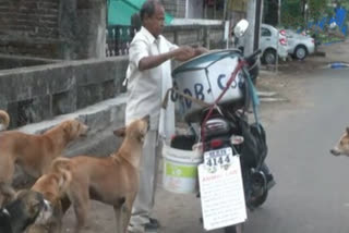 Nagpur man feeding 190 stray dogs with chicken biryani since beginning of pandemic