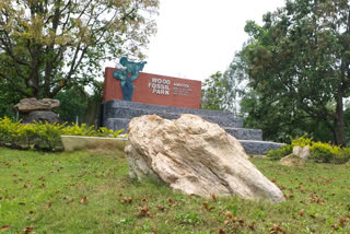 wb_brmh_01_special story wood fossil in illambazar_7203424