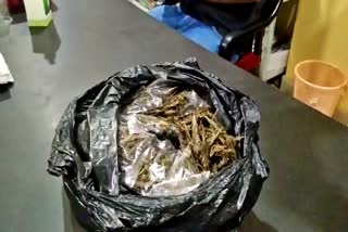 one arrested with ganja from lumding