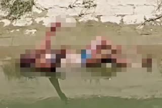 Body found in drinking water  water supplied to common people  हनुमानगढ़ जंक्शन  पानी में मिली लाश  सादुल ब्रांच नहर  Sadul Branch Canal  Corpse found in water  Hanumangarh Junction