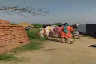 video-of-life-threatening-attack-on-women-with-sticks-and-brick-stones-in-khatima