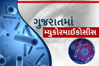 ગુજરાત કોંગ્રેસે કરી પત્રકાર પરિષદ