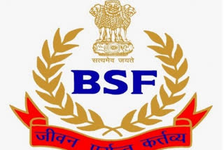 BSF