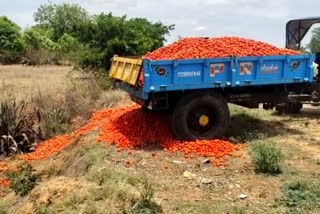 No proper rate for vegetables Farmers destroyed vegetables